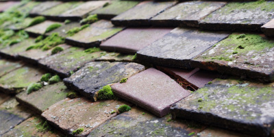 Elmhurst roof repair costs